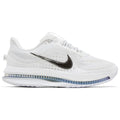 Nike Air Zoom Pegasus Premium White Metallic Silver (W)