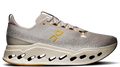 On Running Cloudsurfer Max Cinder Pelican