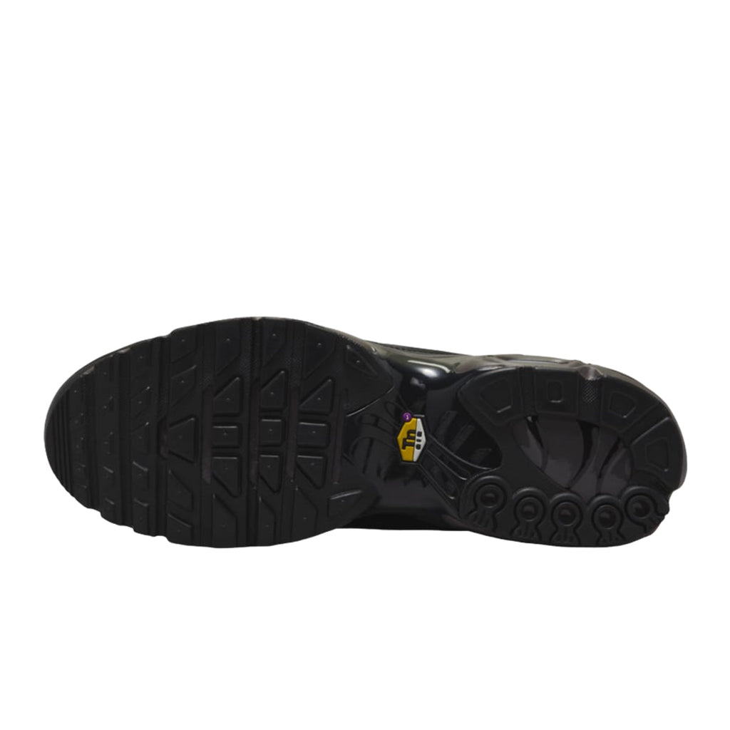 Nike Air Max Plus Premium Paris