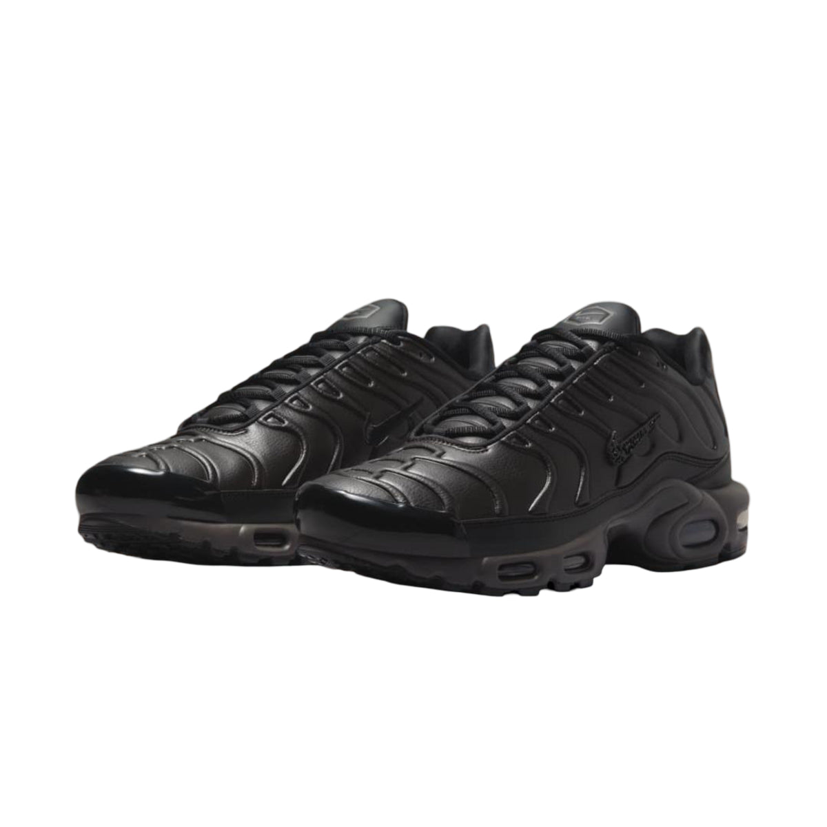 Nike Air Max Plus Premium Paris